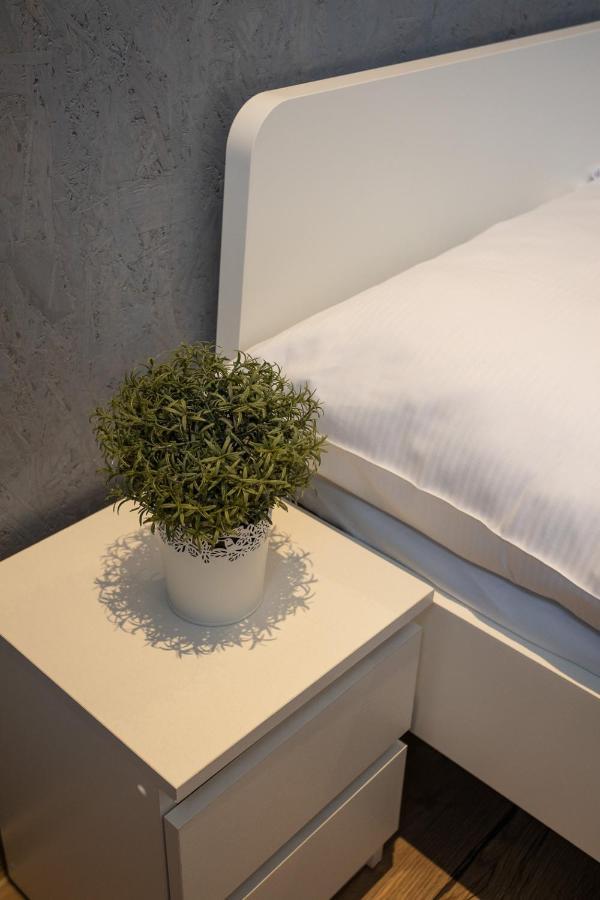 Kosciuszki Street Hostel 弗罗茨瓦夫 外观 照片